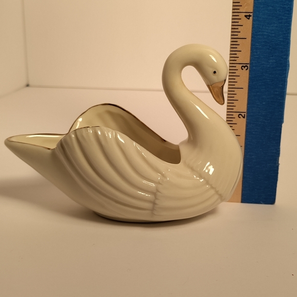 A SWAN⭐ - Picture 7 of 7